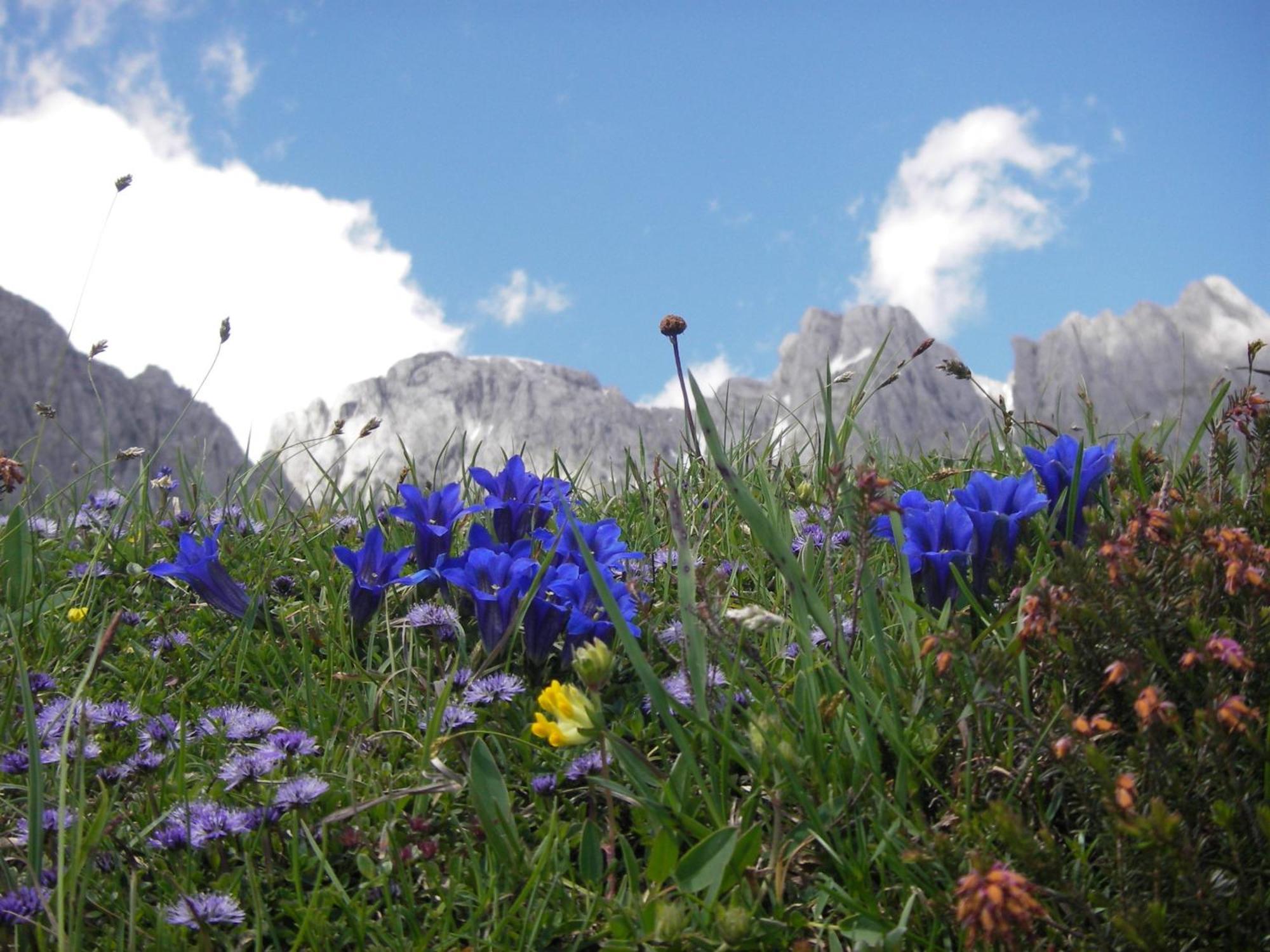 Appartamento Molteraugut Mühlbach am Hochkönig Esterno foto